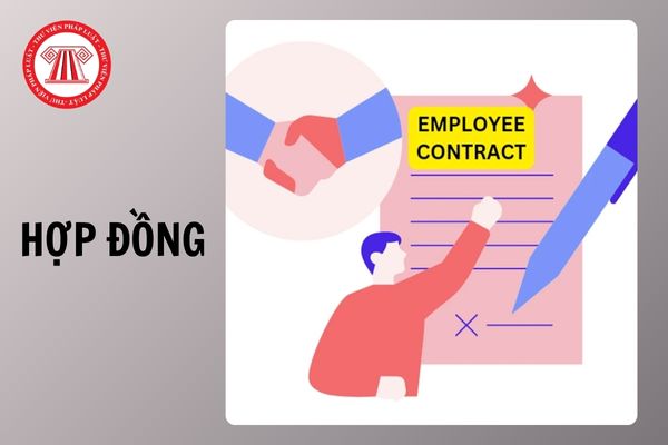 Hỏi đáp Pháp luật