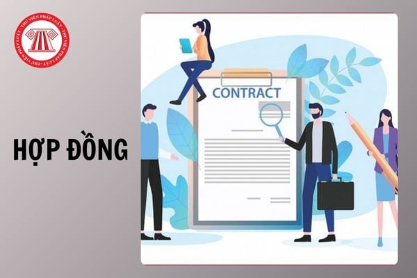 Hỏi đáp Pháp luật