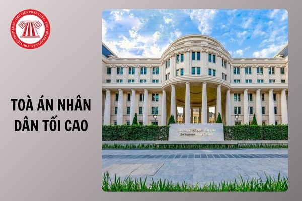 Hỏi đáp Pháp luật