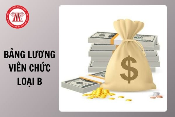 Bảng lương viên chức loại B từ ngày 01/7/2025 ra sao?