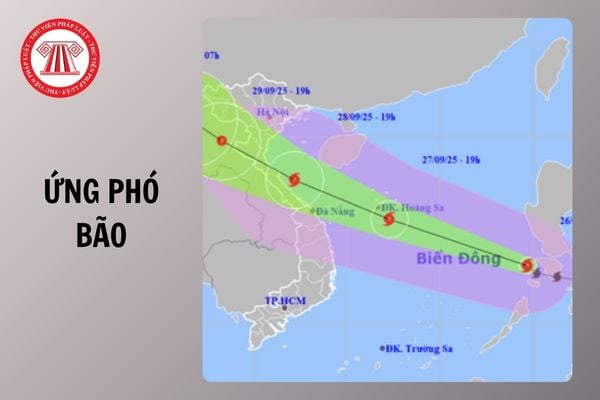 Hỏi đáp Pháp luật
