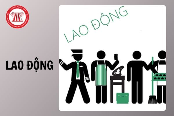 Hỏi đáp Pháp luật