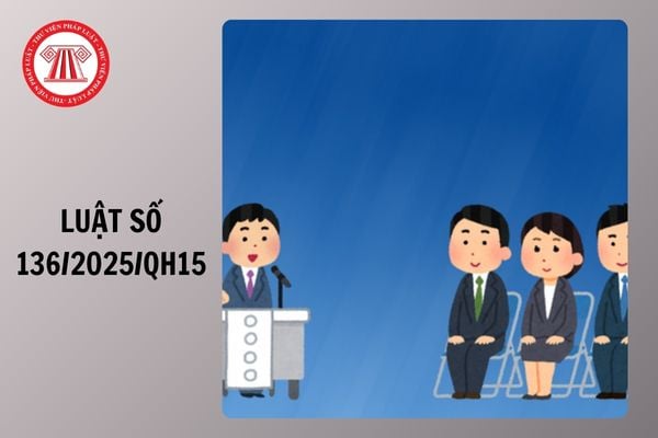 Toàn văn Luật số 136/2025/QH15 Luật sửa đổi Luật tiếp công dân, Luật Khiếu nại, Luật Tố cáo 2025 chi tiết ra sao?