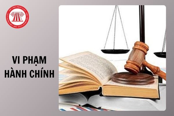 Hỏi đáp Pháp luật