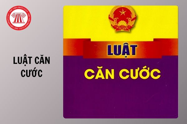 Hỏi đáp Pháp luật