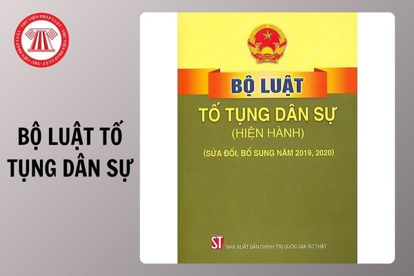 Hỏi đáp Pháp luật
