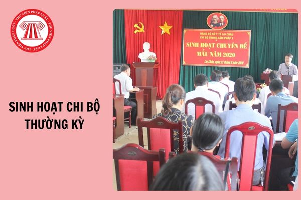 Hỏi đáp Pháp luật