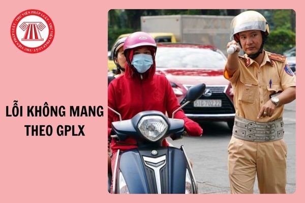 Từ 1/1/2025, lỗi không mang theo giấy phép lái xe phạt bao nhiêu tiền?