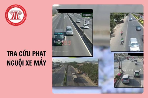 Cách tra cứu phạt nguội xe máy 2025 bằng biển số xe đơn giản, nhanh chóng? 