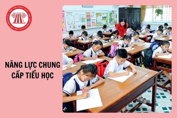 Lời nhận xét năng lực chung học kì 1 theo Thông tư 27 cấp tiểu học 2024 - 2025?