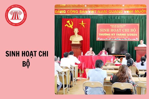 Các bước sinh hoạt chi bộ năm 2025 mới nhất thực hiện thế nào?