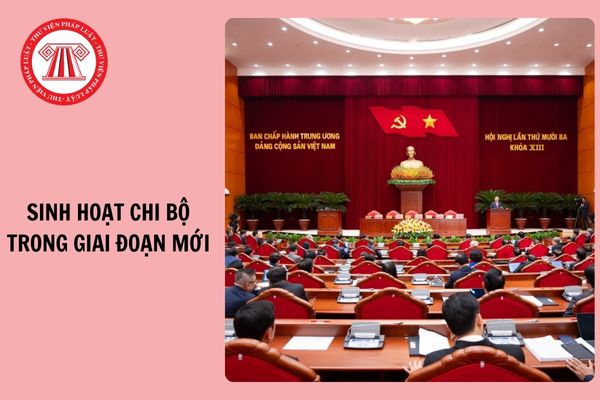 Hỏi đáp Pháp luật