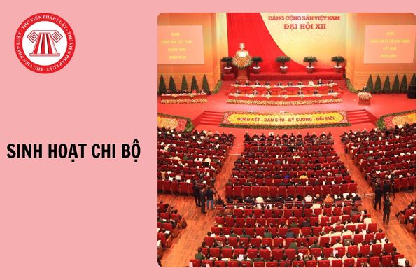 Hỏi đáp Pháp luật