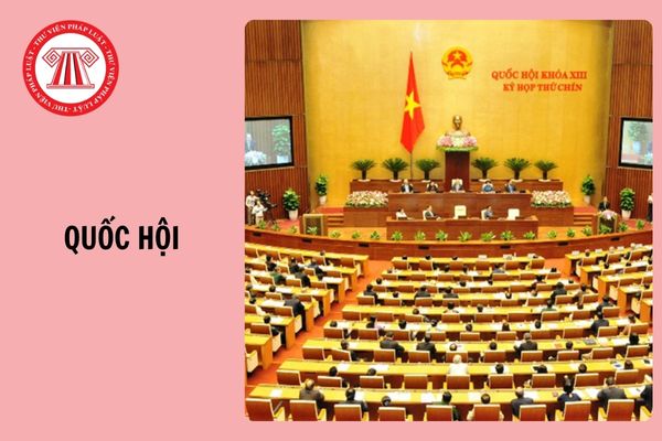 Hỏi đáp Pháp luật