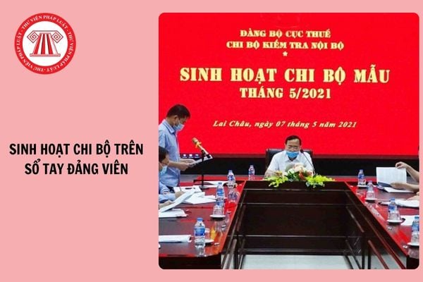 Hỏi đáp Pháp luật