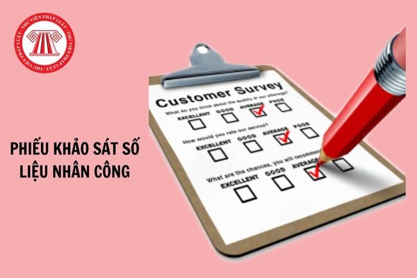 Tải Phiếu khảo sát số liệu nhân công tại công trình áp dụng từ 8/03/2025?