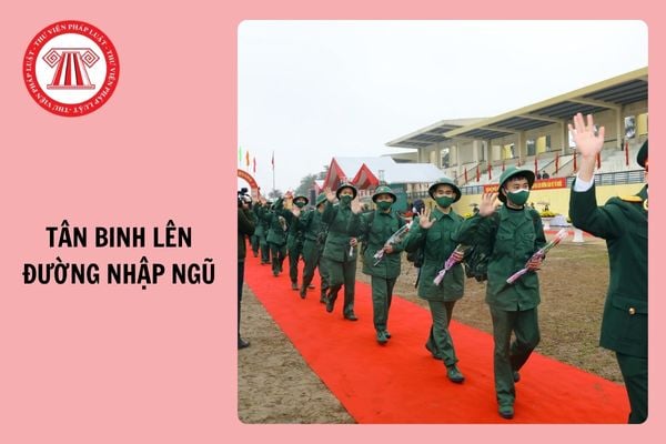 Bài phát biểu tiễn tân binh lên đường nhập ngũ 2025 ngắn gọn, ý nghĩa nhất? 