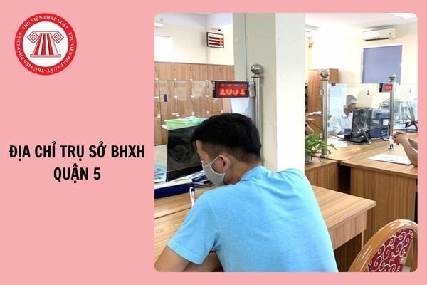 Hỏi đáp Pháp luật