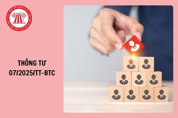 Đã có Thông tư 07/2025/TT-BTC hướng dẫn Nghị định 178/2024 về chính sách, chế độ khi sắp xếp tổ chức bộ máy?