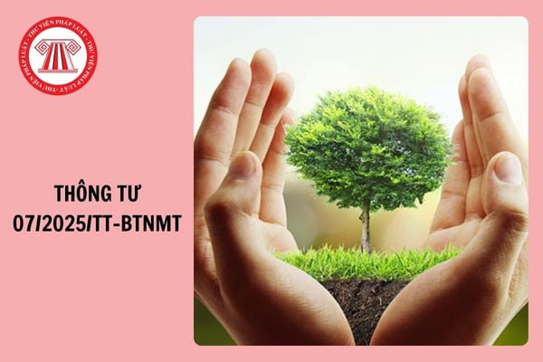 Tải Phụ lục Thông tư 07 2025 TT BTNMT sửa Thông tư 02 hướng dẫn Luật Bảo vệ môi trường?