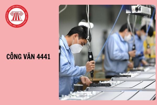 Công văn 4441/CT-DNL ngày 15/10/2025 giới thiệu một số nội dung tại Nghị định 236/2025/NĐ-CP thế nào?