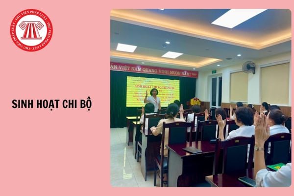 Hỏi đáp Pháp luật