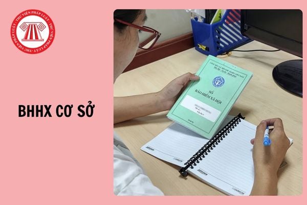 Mã cơ quan BHXH cơ sở Đất Đỏ TP HCM sau sáp nhập là bao nhiêu?