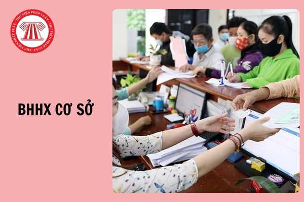 Hỏi đáp Pháp luật
