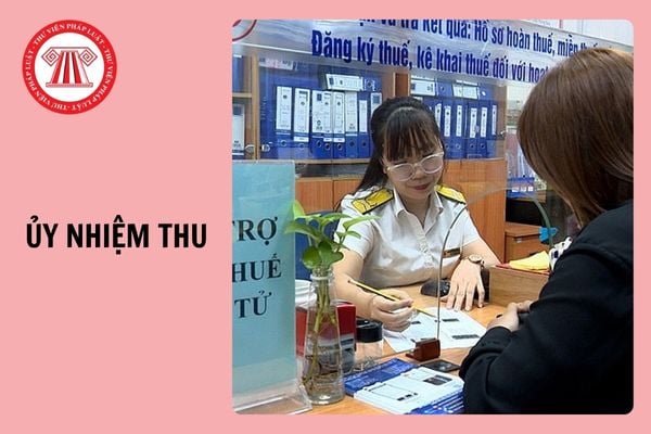 Mẫu 04.4-ĐK-TCT tờ khai đăng ký thuế dùng cho tổ chức ủy nhiệm thu áp dụng từ 6/2/2025?