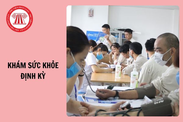 Hỏi đáp Pháp luật