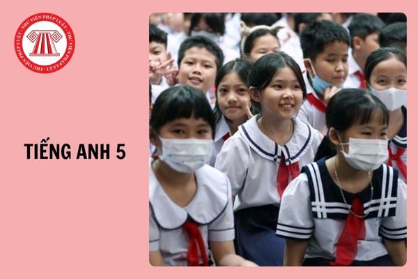 Đề thi giữa học kì 2 Tiếng Anh 5 Global Success 2025 kèm đáp án tải về?