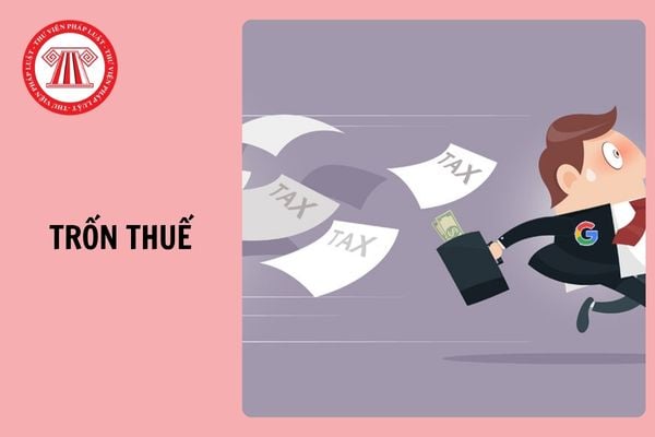 Hỏi đáp Pháp luật