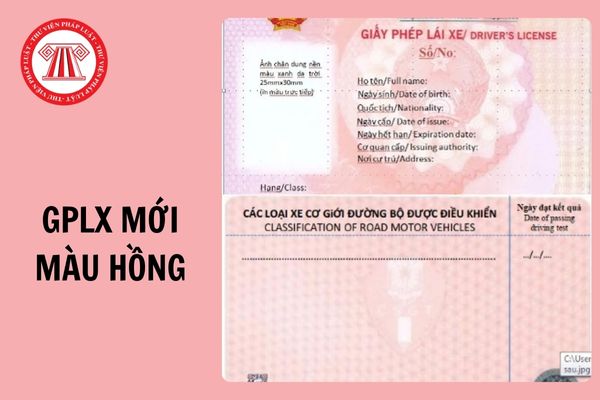 Hiểu rõ quy định về đổi sang GPLX mới màu hồng trong năm 2025 thế nào ...