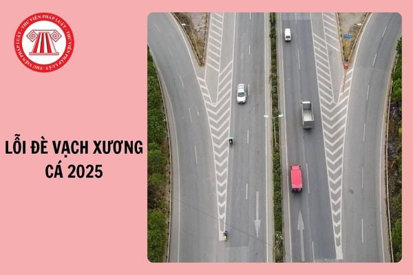 Lỗi đè vạch xương cá 2025 phạt bao nhiêu tiền?