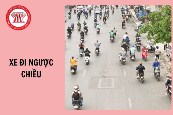 Hỏi đáp Pháp luật
