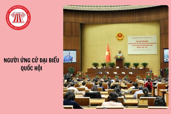 Hỏi đáp Pháp luật