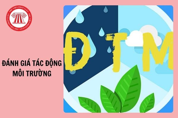 Tải Mẫu nội dung tham vấn trong đánh giá tác động môi trường 2025?