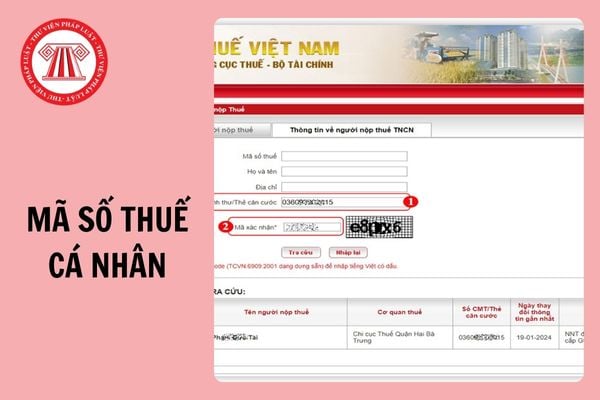 Tổng hợp Link tra cứu mã số thuế cá nhân online nhanh nhất 2025?