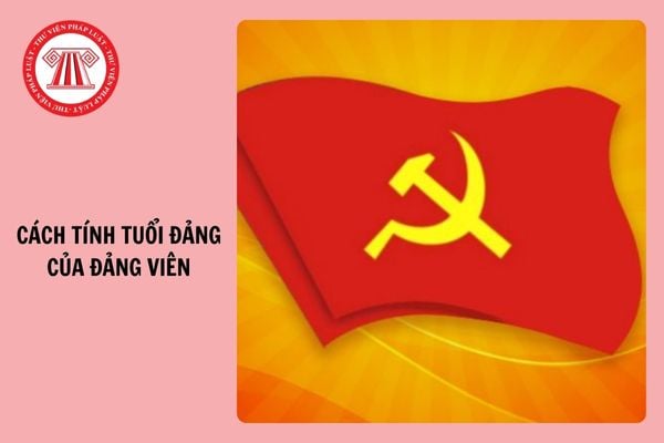 Cách tính tuổi đảng của đảng viên mới nhất 2025 theo Quy định 232?