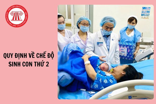 Quy định về chế độ sinh con thứ 2 từ 1/7/2026 theo Luật Dân số mới thế nào?