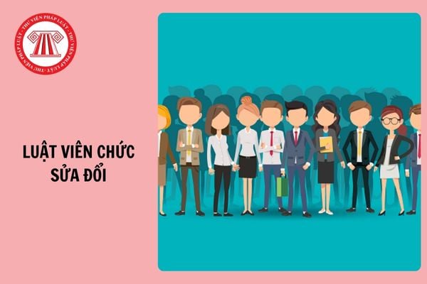 Hỏi đáp Pháp luật