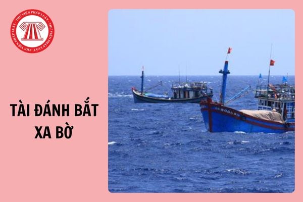 Từ 1/7/2025, tàu đánh bắt xa bờ không còn thuộc đối tượng không chịu thuế GTGT?