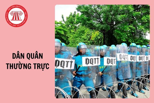 Dân quân thường trực thuộc đối tượng tham gia BHXH bắt buộc từ 1/7/2025?