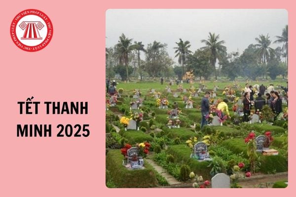 Thanh minh 2025 là ngày nào âm lịch? Mâm cúng Tết Thanh Minh 2025 ngoài mộ, tại nhà gồm những gì?