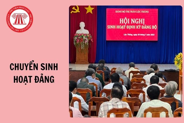 Hỏi đáp Pháp luật