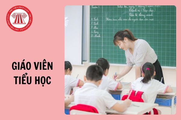 Cấm dạy thêm đối với giáo viên tiểu học trong mọi trường hợp từ 14/2/2025 đúng không?