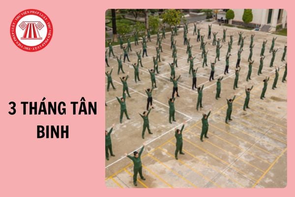 3 tháng tân binh là gì? Hết 3 tháng tân binh có được sử dụng điện thoại không?