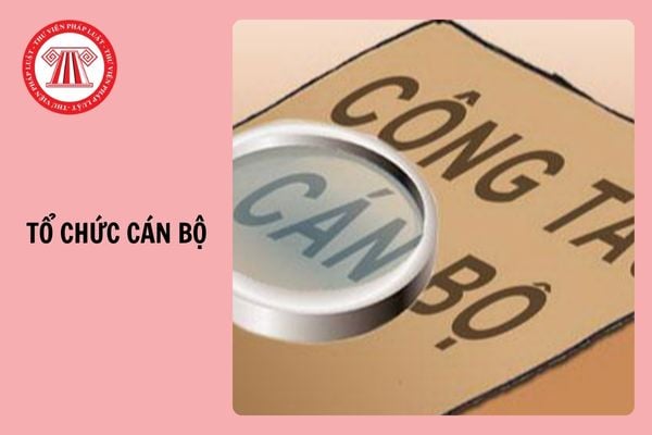 Đã có Công văn 93 CT TCCB 2025 công tác tổ chức cán bộ sau sắp xếp bộ máy của Cục thuế?