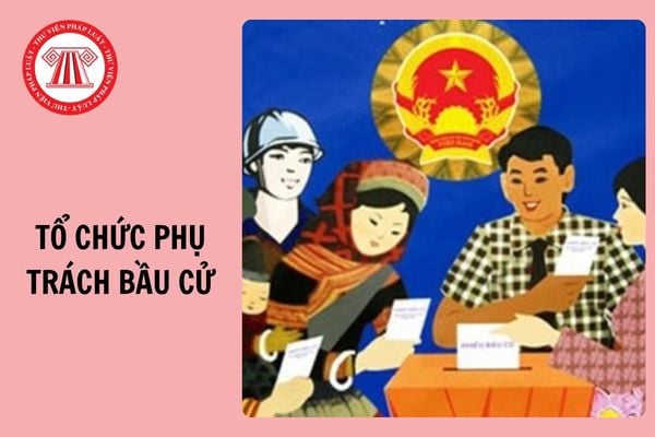 Hỏi đáp Pháp luật