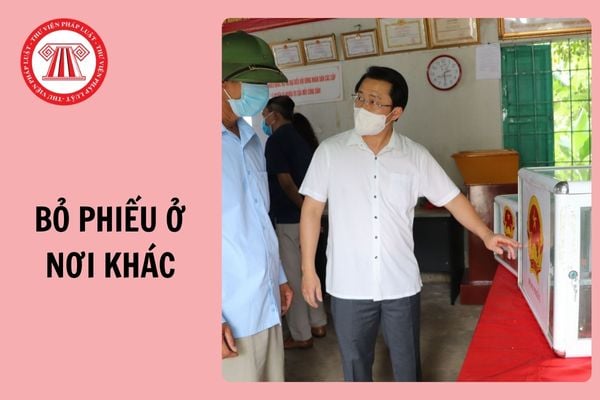 Hỏi đáp Pháp luật